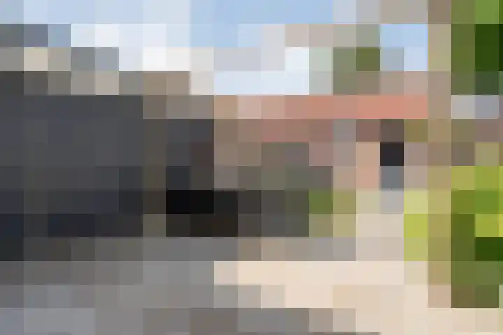 Boterbloem 79 Hardenberg thumbnail 31