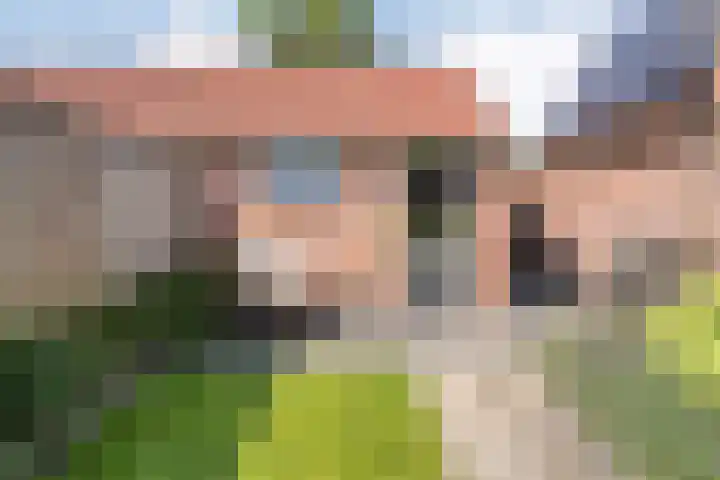 Boterbloem 79 Hardenberg thumbnail 33