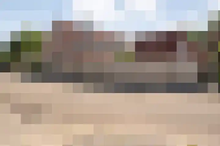 Boterbloem 79 Hardenberg thumbnail 37
