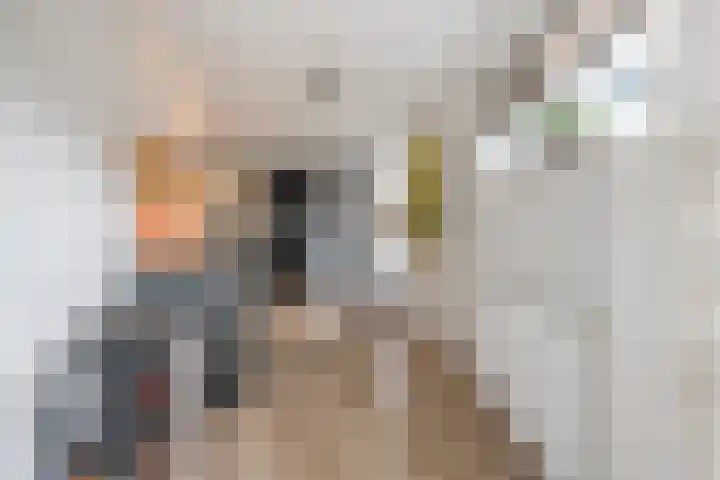 Boterbloem 8 Nijkerk thumbnail 10
