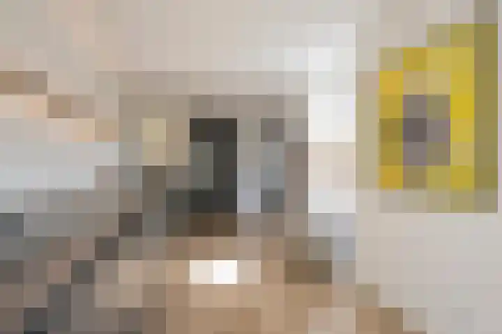 Boterbloem 8 Nijkerk thumbnail 11