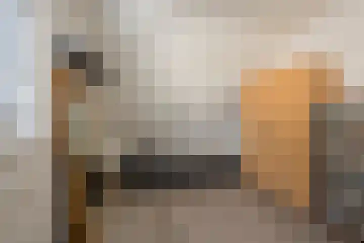 Boterbloem 8 Nijkerk thumbnail 23