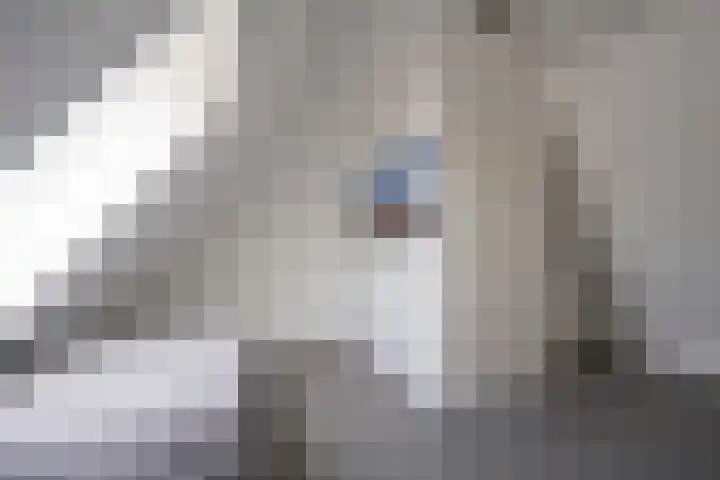 Boterbloem 8 Nijkerk thumbnail 29