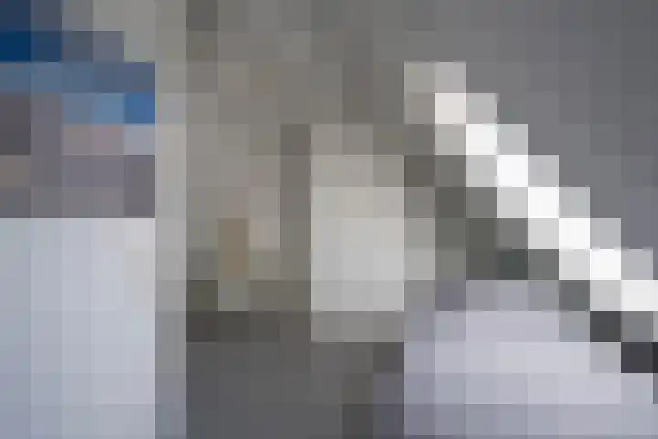 Boterbloem 8 Nijkerk thumbnail 30