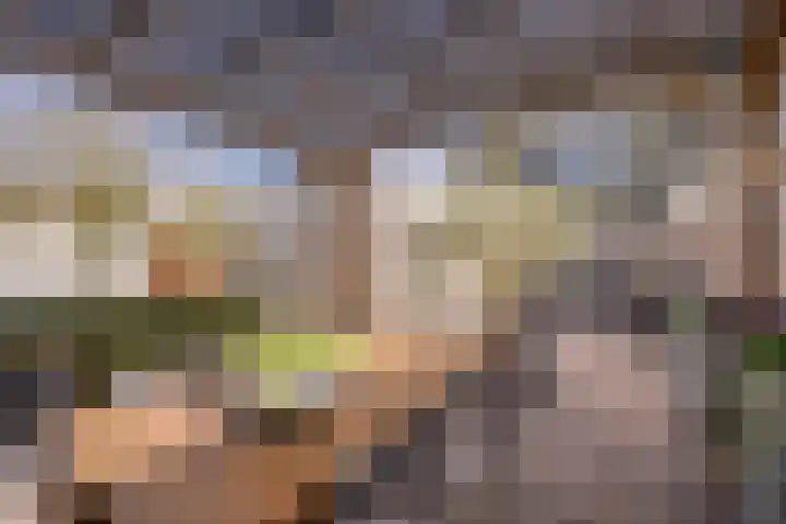 Boterbloem 8 Nijkerk thumbnail 31