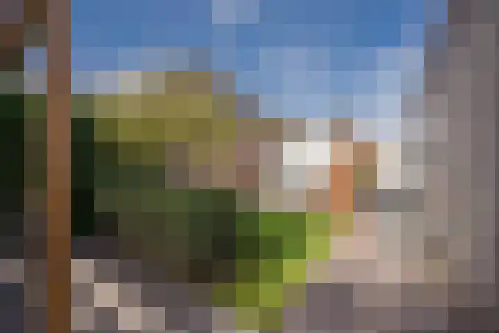 Boterbloem 8 Nijkerk thumbnail 33