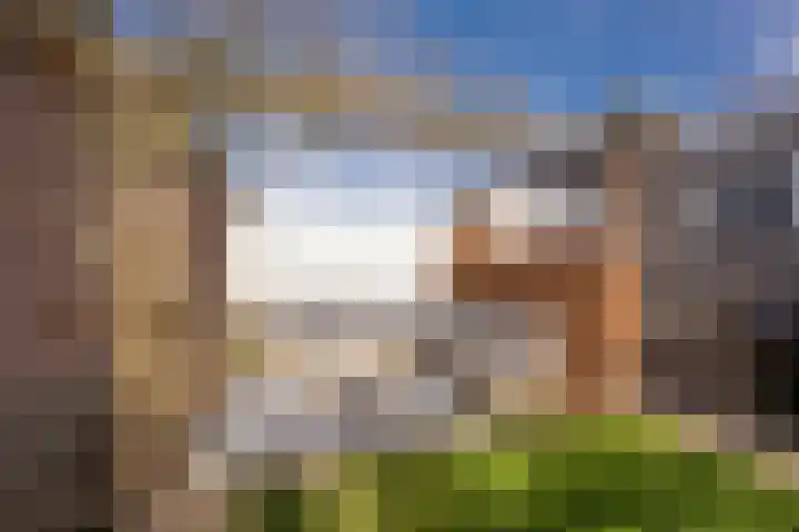 Boterbloem 8 Nijkerk thumbnail 34