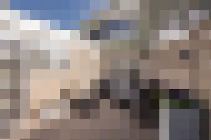 Boterbloem 8 Nijkerk thumbnail 35