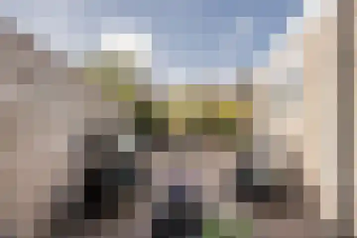 Boterbloem 8 Nijkerk thumbnail 36