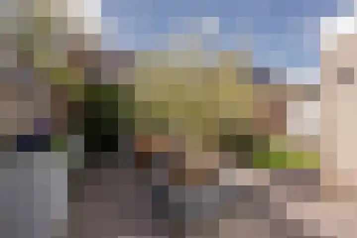 Boterbloem 8 Nijkerk thumbnail 37