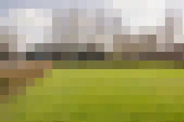 Boterbloem 8 Nijkerk thumbnail 39