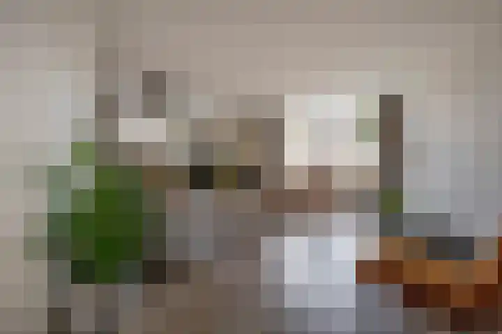 Boterbloem 8 Nijkerk thumbnail 4
