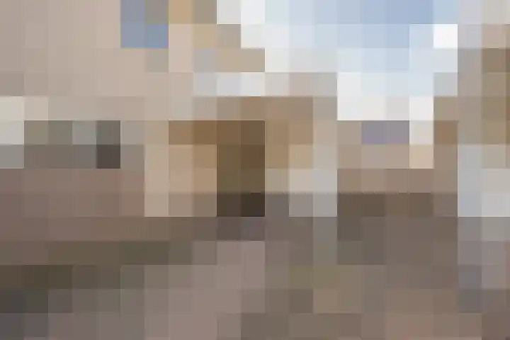 Boterbloem 8 Nijkerk thumbnail 40