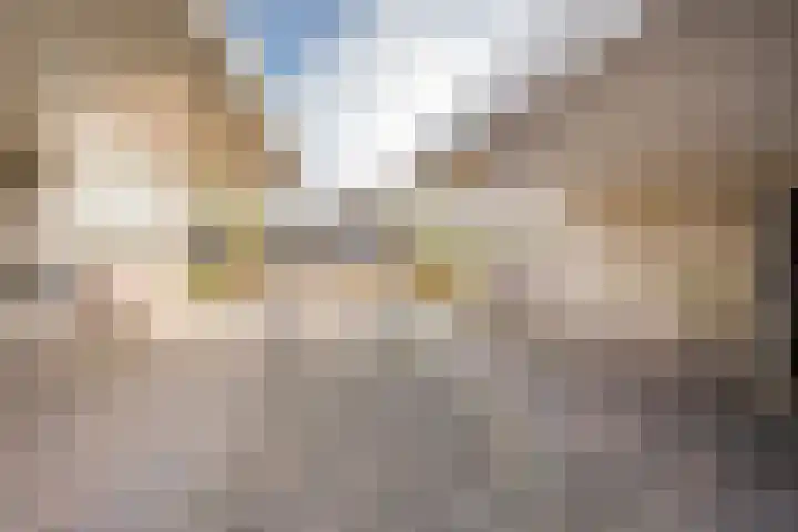 Boterbloem 8 Nijkerk thumbnail 41