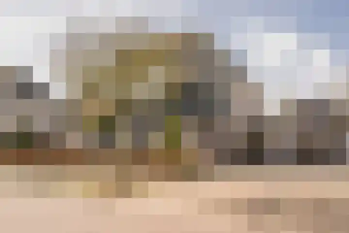 Boterbloem 8 Nijkerk thumbnail 42