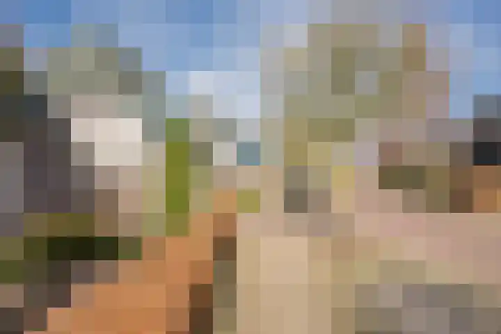 Boterbloem 8 Nijkerk thumbnail 43