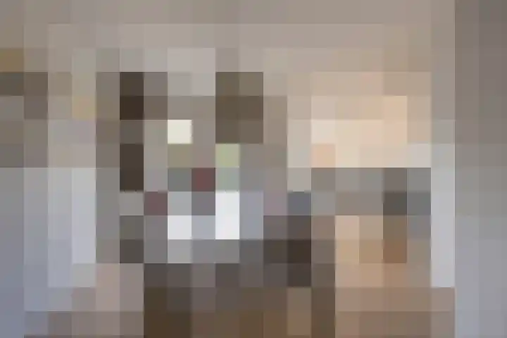 Boterbloem 8 Nijkerk thumbnail 7