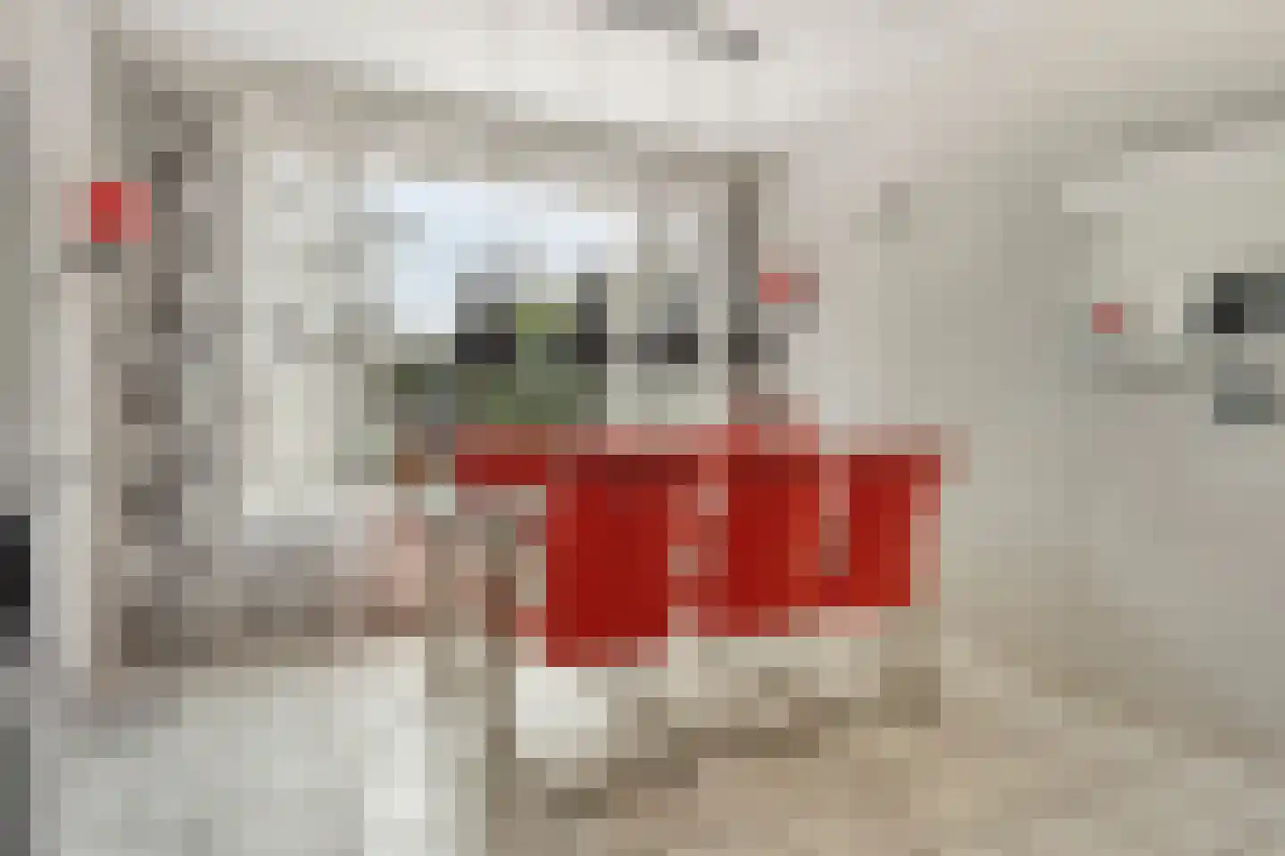 Boterbloem 8 Rotterdam thumbnail 11