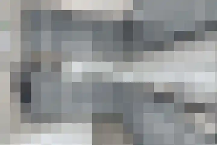Boterbloem 8 Rotterdam thumbnail 13