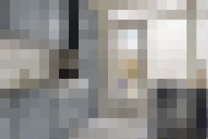 Boterbloem 8 Rotterdam thumbnail 14