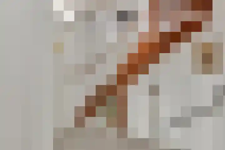 Boterbloem 8 Rotterdam thumbnail 16