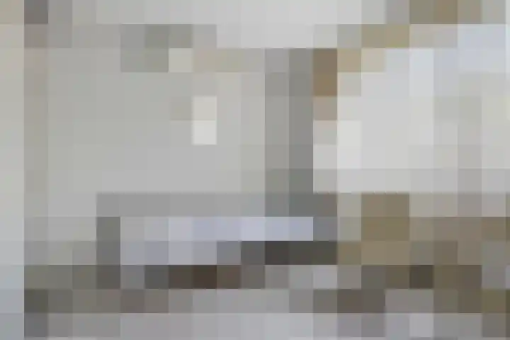 Boterbloem 8 Rotterdam thumbnail 17