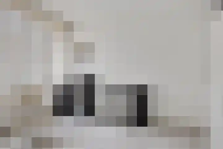Boterbloem 8 Rotterdam thumbnail 18