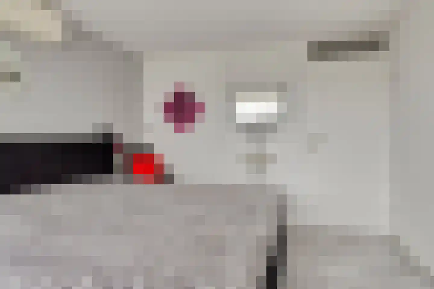Boterbloem 8 Rotterdam thumbnail 20