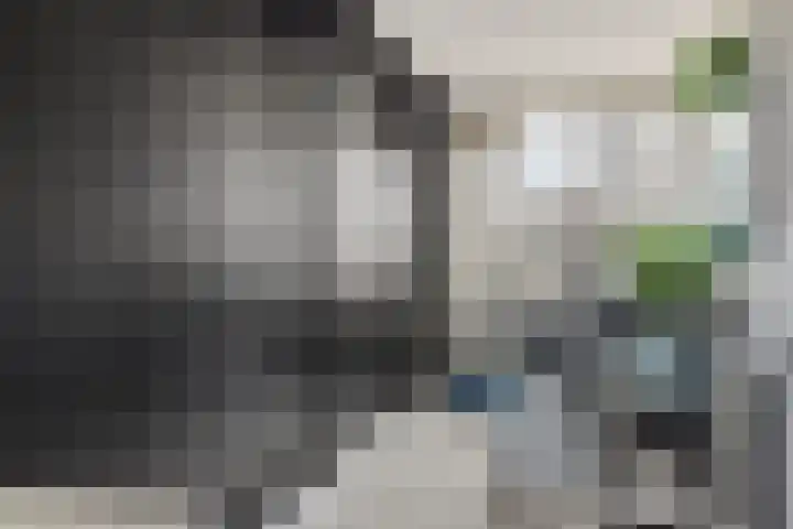 Boterbloem 8 Rotterdam thumbnail 21
