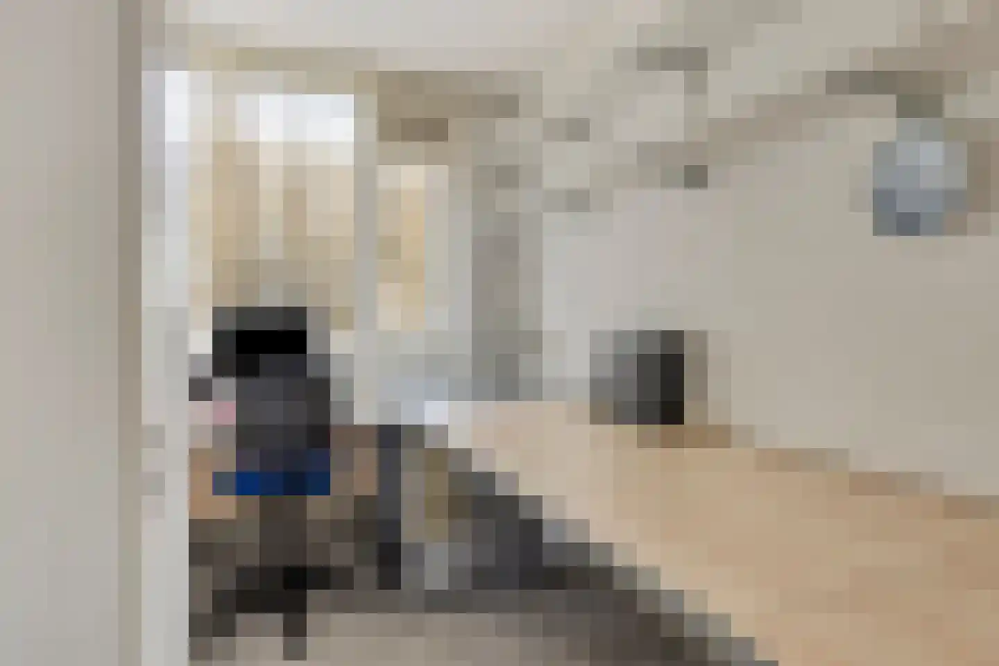 Boterbloem 8 Rotterdam thumbnail 22