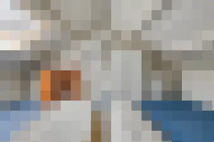 Boterbloem 8 Rotterdam thumbnail 24