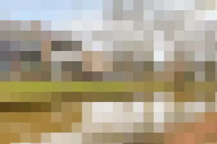 Boterbloem 8 Rotterdam thumbnail 25