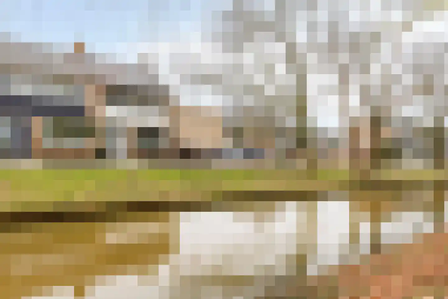 Boterbloem 8 Rotterdam thumbnail 25