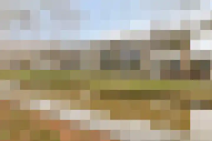 Boterbloem 8 Rotterdam thumbnail 26