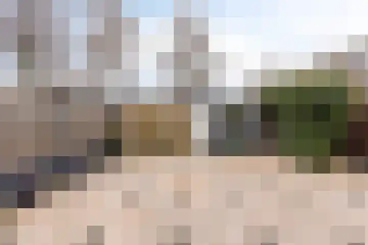 Boterbloem 8 Rotterdam thumbnail 27