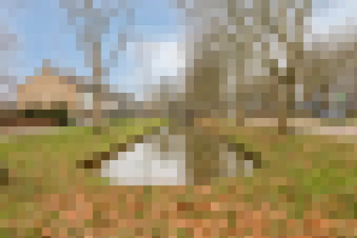Boterbloem 8 Rotterdam thumbnail 28