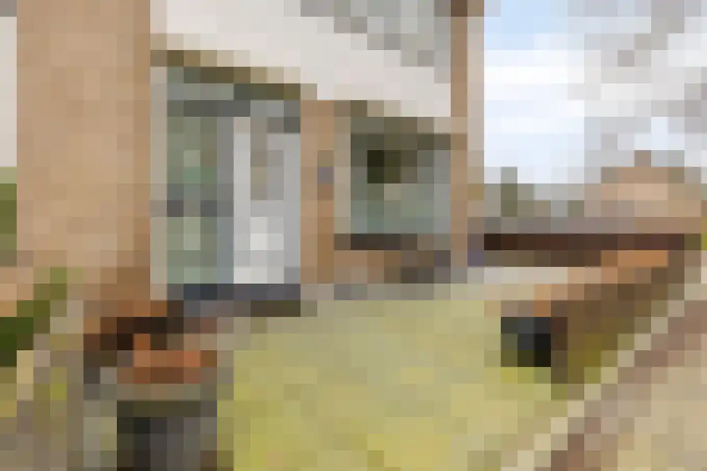 Boterbloem 8 Rotterdam thumbnail 5
