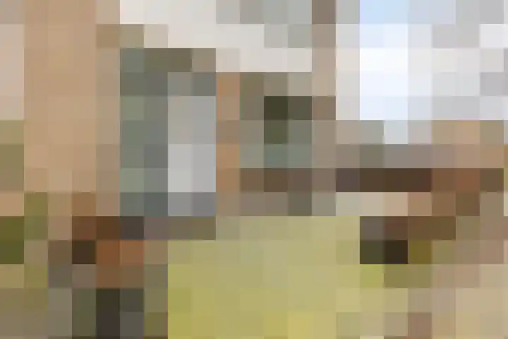 Boterbloem 8 Rotterdam thumbnail 5