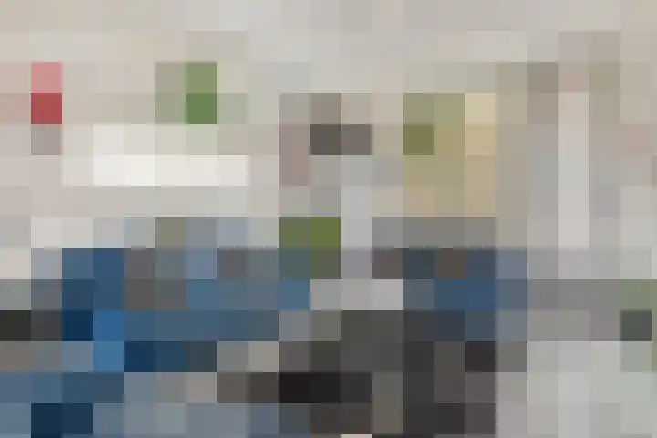 Boterbloem 8 Rotterdam thumbnail 8