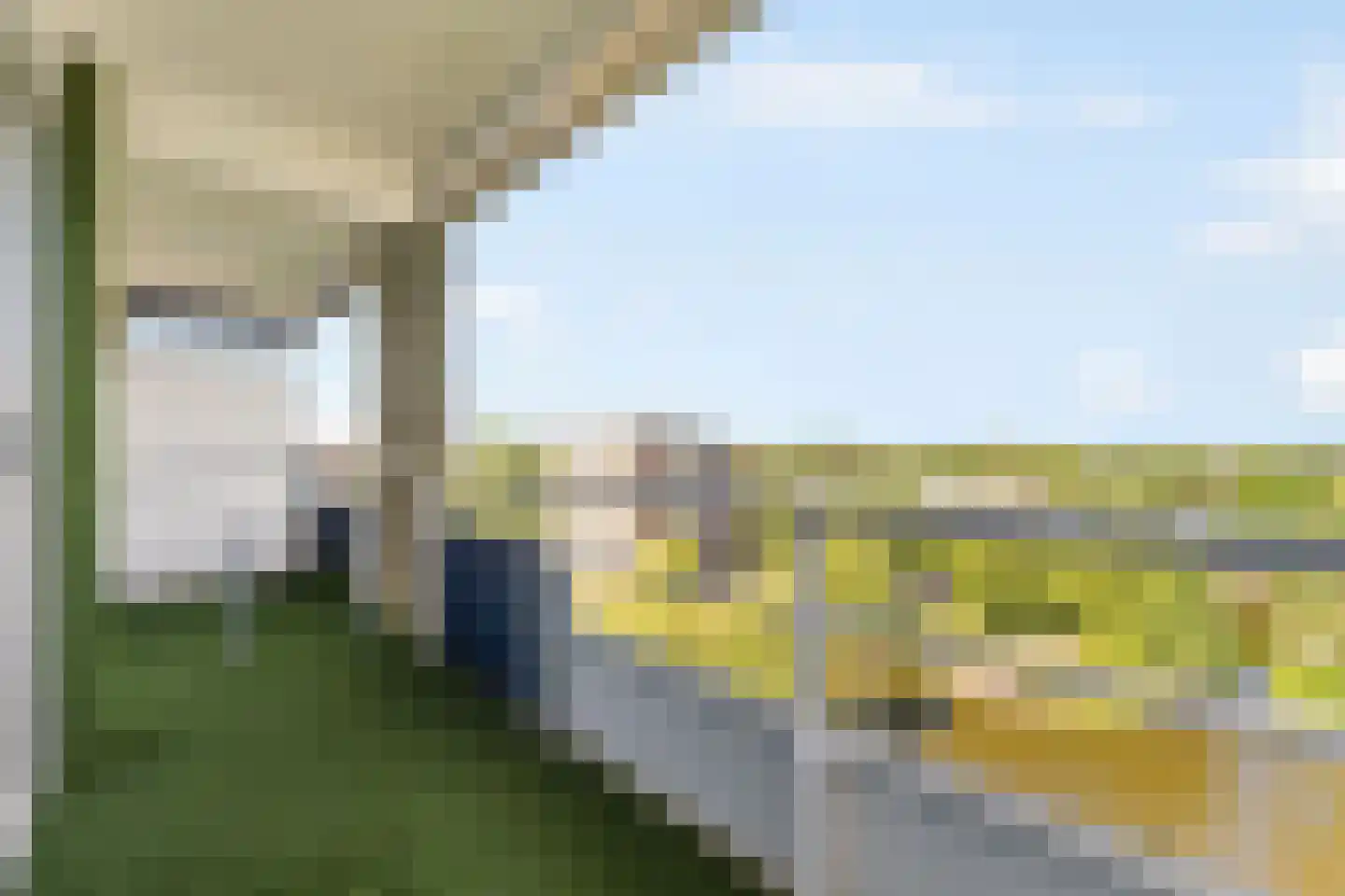 Boterbloem 84 Uithoorn thumbnail 13