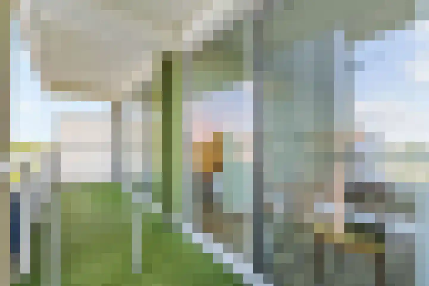 Boterbloem 84 Uithoorn thumbnail 14