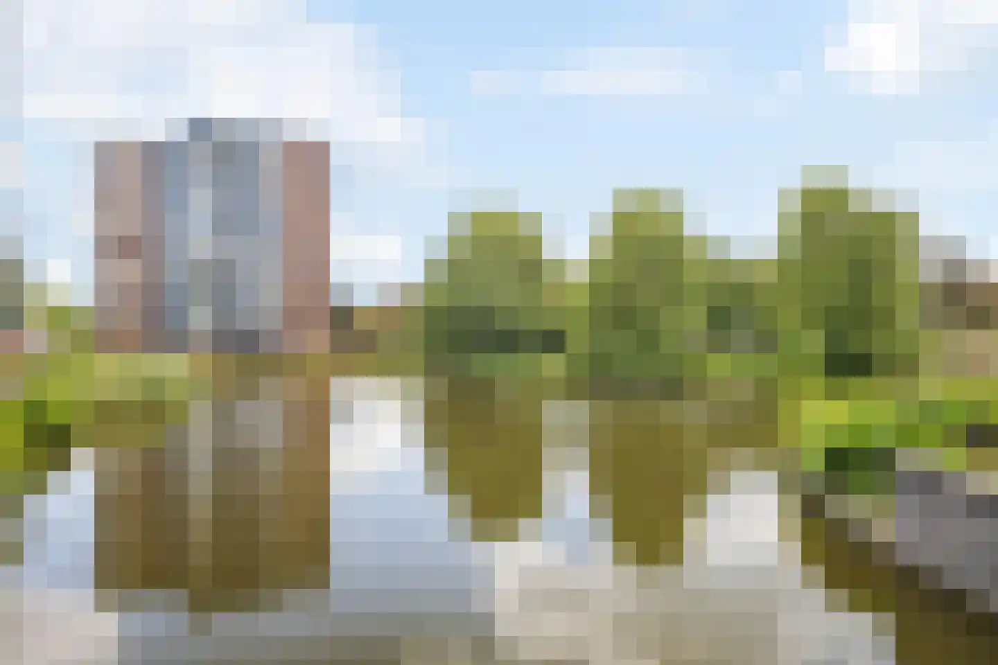 Boterbloem 84 Uithoorn thumbnail 23