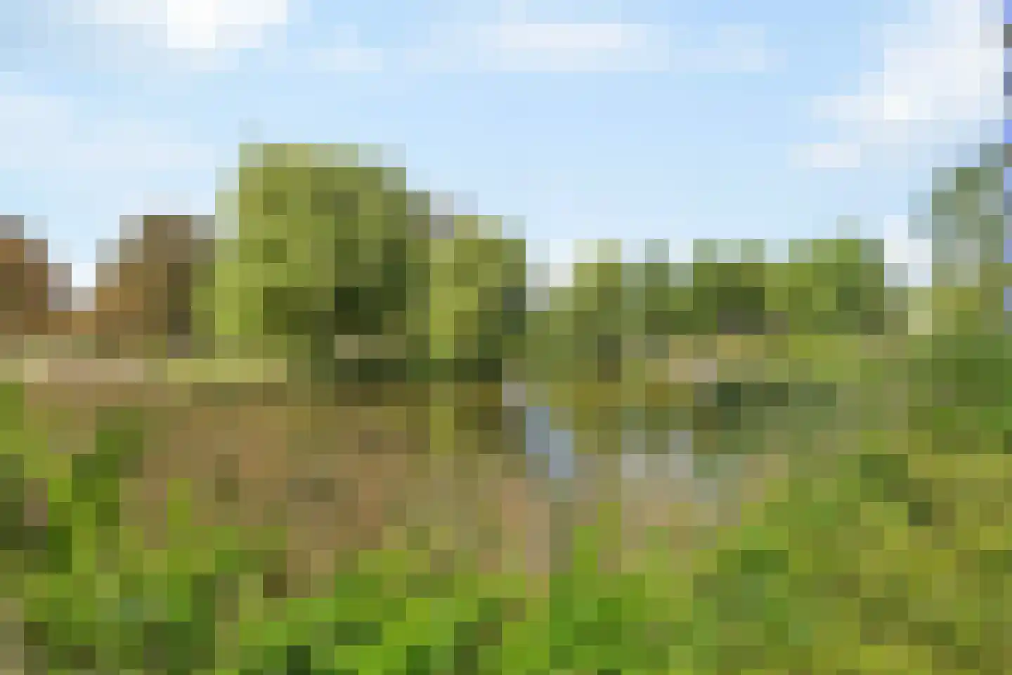 Boterbloem 84 Uithoorn thumbnail 25