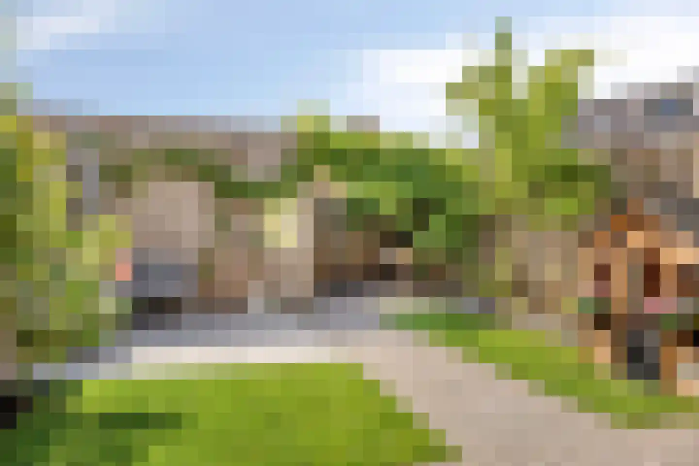 Boterbloem 86 Boxmeer thumbnail 32