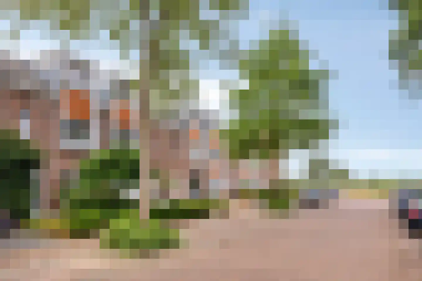 Boterbloem 86 Boxmeer thumbnail 35