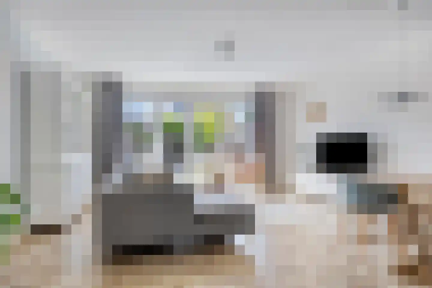 Boterbloem 86 Boxmeer thumbnail 5