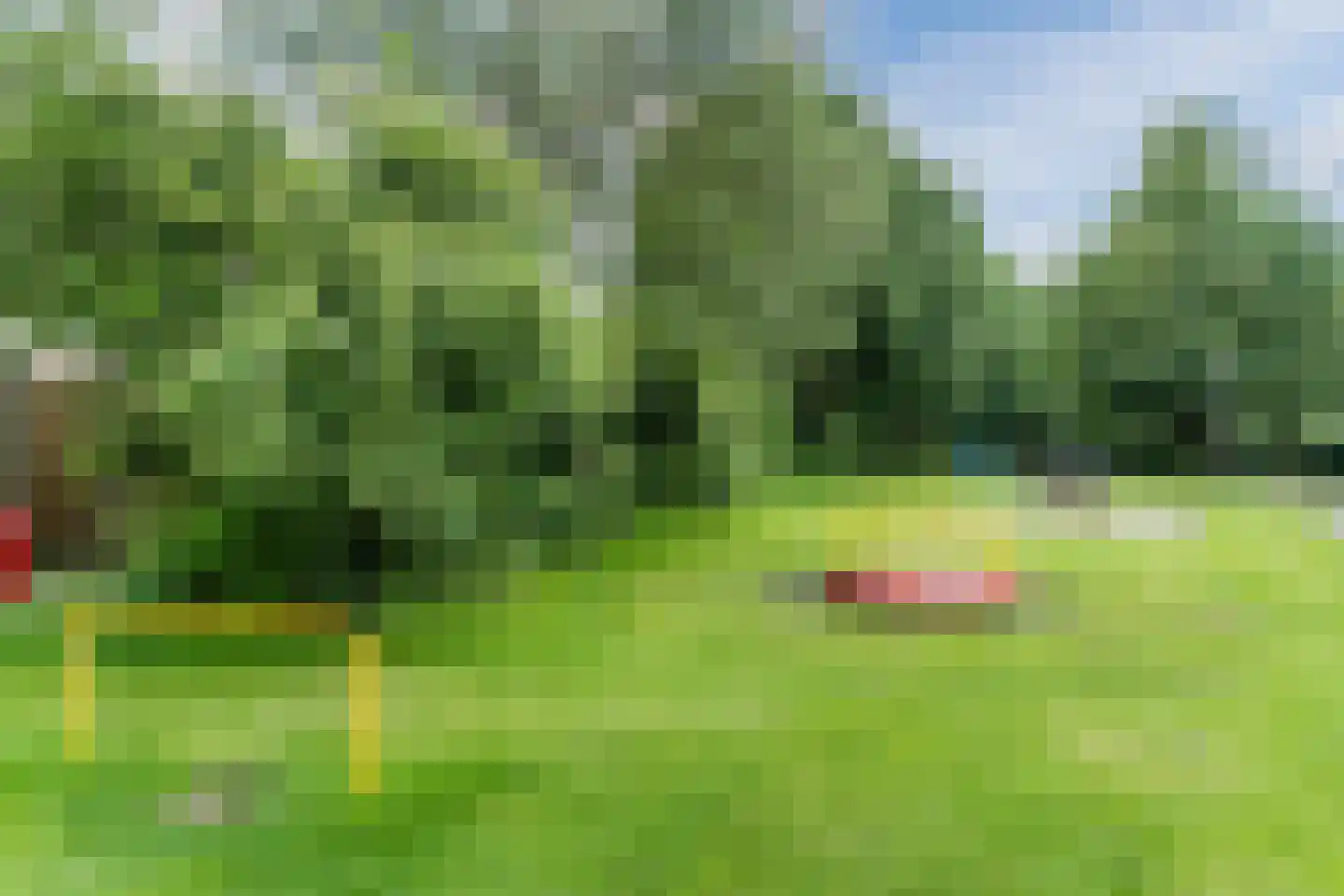 Boterbloem 9 Culemborg thumbnail 36