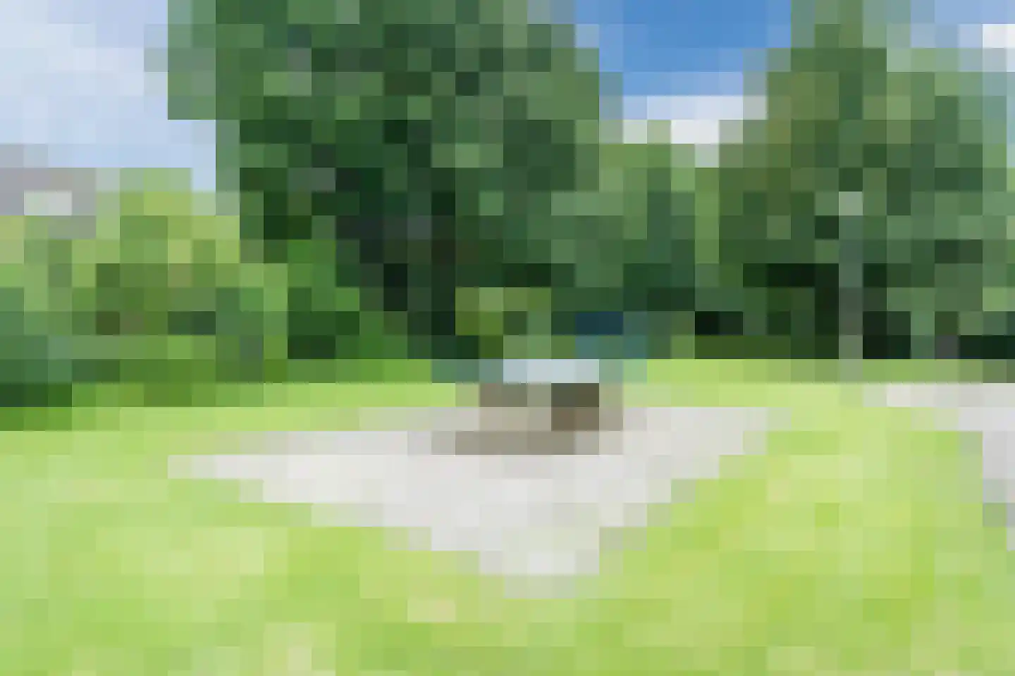 Boterbloem 9 Culemborg thumbnail 37