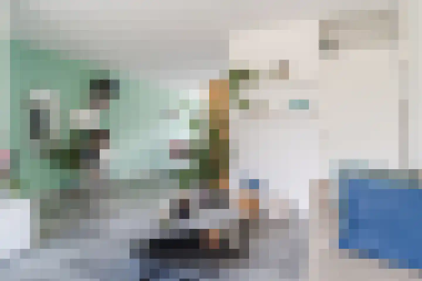Boterbloem 9 Culemborg thumbnail 6