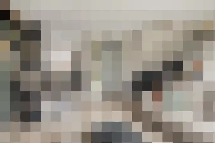 Boterbloem 9 't Veld thumbnail 12